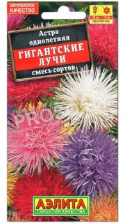 Астра Гигантские лучи, смесь