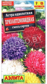 Астра Хризантемовидная, смесь