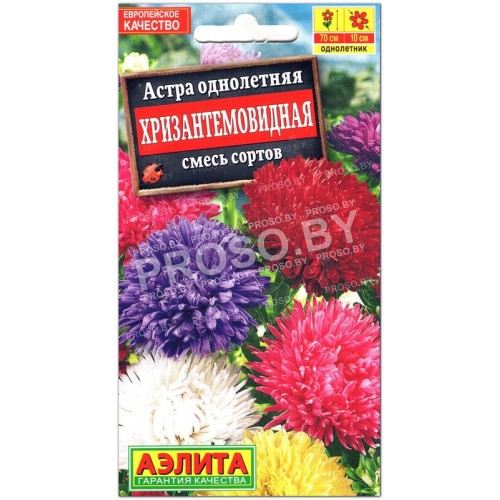 Астра Хризантемовидная, смесь
