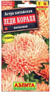 Астра китайская Леди Коралл лососевая