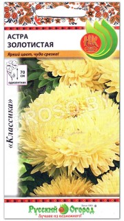 Астра Золотистая