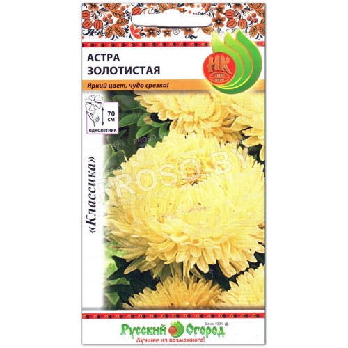Астра Золотистая