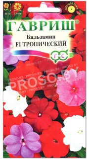 Бальзамин Тропический F1