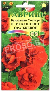 Бальзамин Уоллера Искушение оранжевое F1