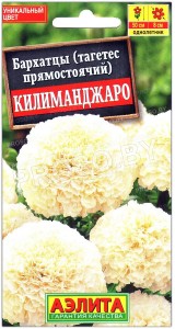 Бархатцы Килиманджаро