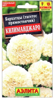 Бархатцы Килиманджаро