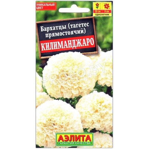 Бархатцы Килиманджаро