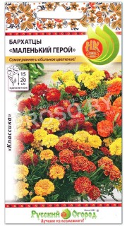 Бархатцы Маленький герой
