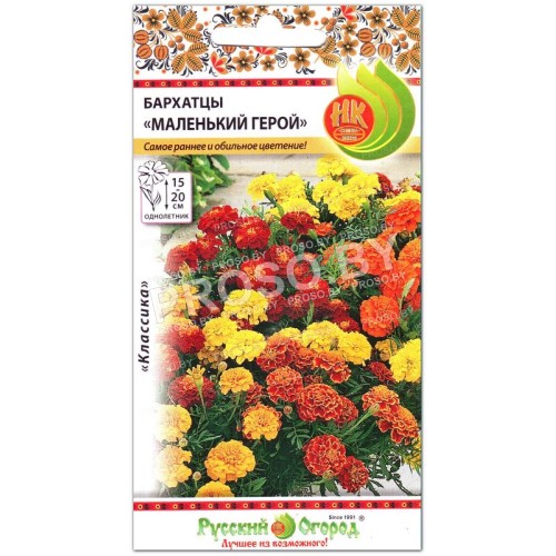 Бархатцы Маленький герой