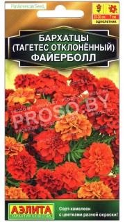 Бархатцы отклоненные Файерболл
