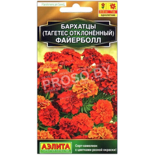 Бархатцы отклоненные Файерболл