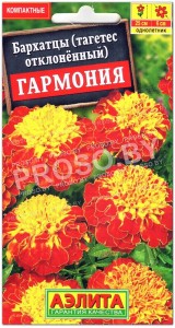 Бархатцы отклоненные Гармония