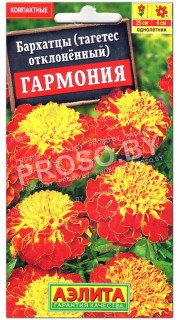 Бархатцы отклоненные Гармония
