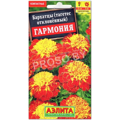 Бархатцы отклоненные Гармония