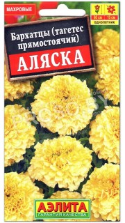 Бархатцы прямостоячие Аляска