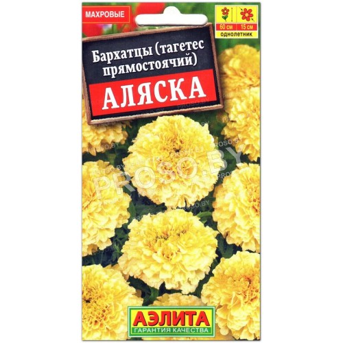 Бархатцы прямостоячие Аляска