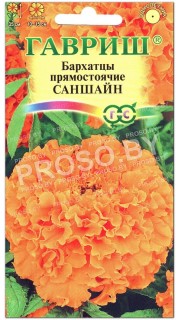 Бархатцы прямостоячие Саншайн