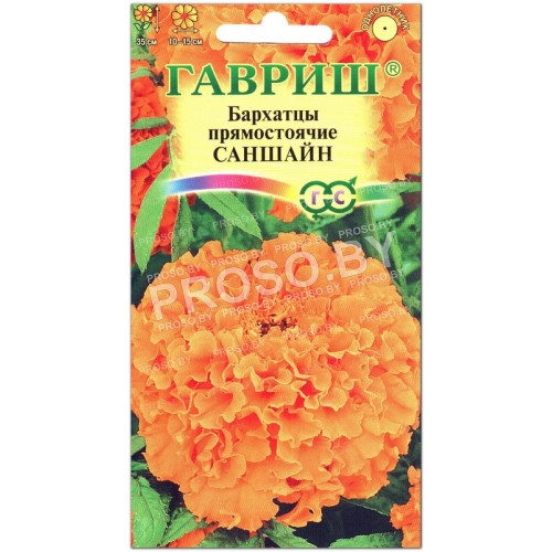 Бархатцы прямостоячие Саншайн