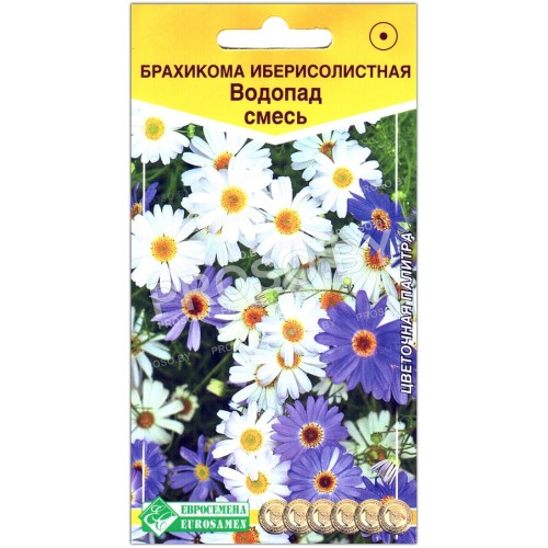 Брахикома иберисолистная Водопад, смесь
