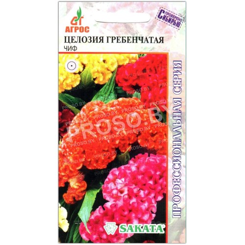Целозия гребенчатая Чиф