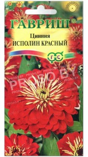 Цинния Исполин красный