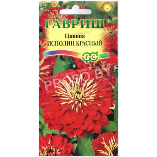 Цинния Исполин красный