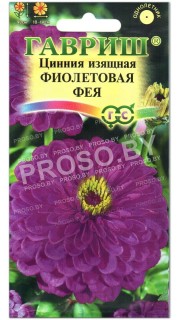 Цинния изящная Фиолетовая фея