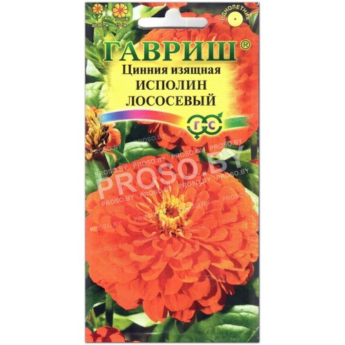 Цинния изящная Исполин лососевый