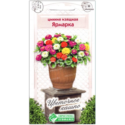 Цинния изящная Ярмарка