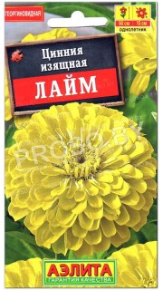 Цинния изящная Лайм