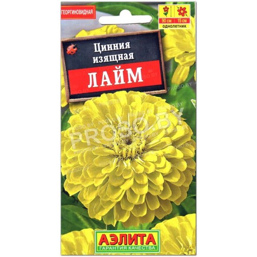 Цинния изящная Лайм