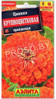 Цинния Крупноцветковая оранжевая