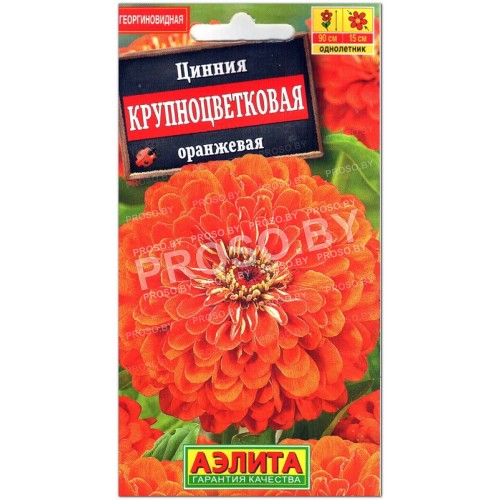 Цинния Крупноцветковая оранжевая