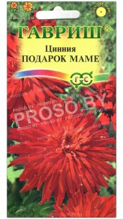 Цинния Подарок маме