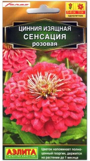 Цинния Сенсация розовая