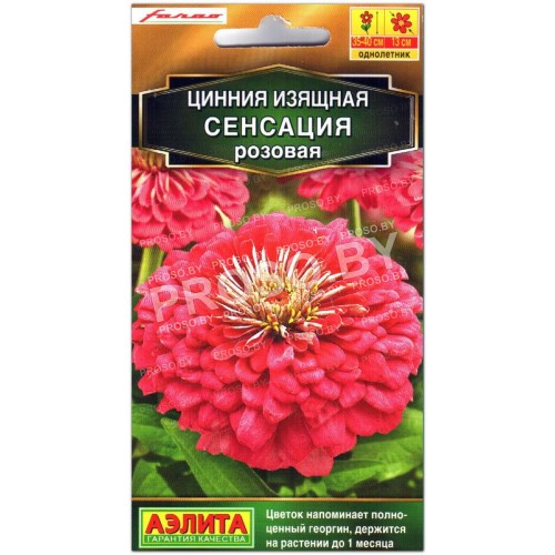 Цинния Сенсация розовая