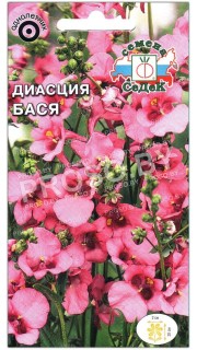 Диасция Бася