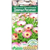 Доротеантус маргаритковый Девичьи реснички