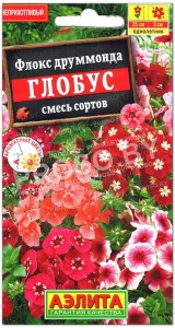 Флокс друммонда Глобус, смесь