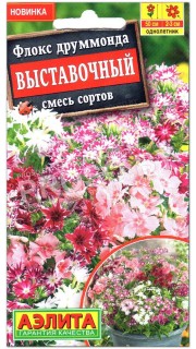 Флокс друммонда Выставочный, смесь