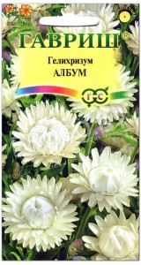 Гелихризум Албум