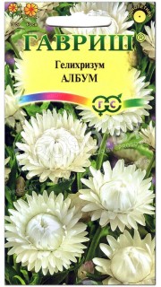 Гелихризум Албум