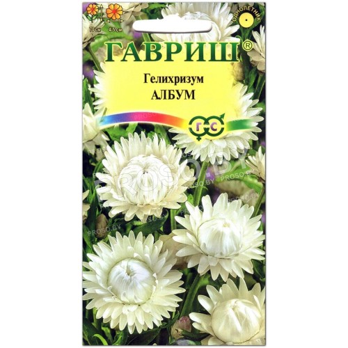 Гелихризум Албум