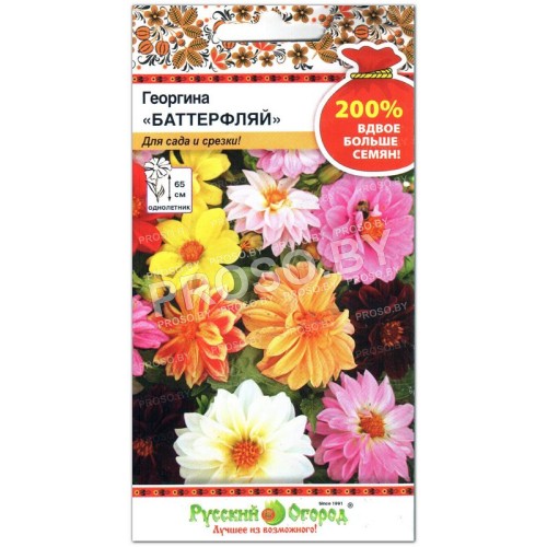 Георгина Баттерфляй