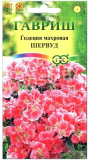 Годеция махровая Шервуд