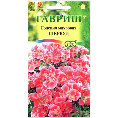 Годеция махровая Шервуд