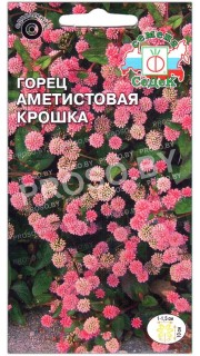 Горец Аметистовая крошка
