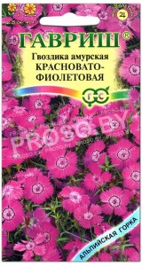 Гвоздика амурская Красновато-фиолетовая