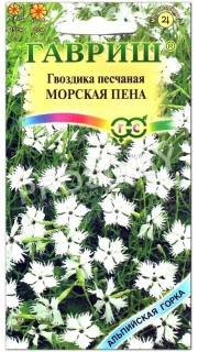 Гвоздика песчаная Морская пена