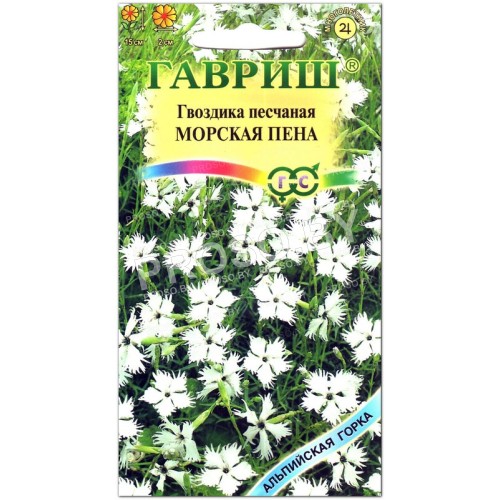 Гвоздика песчаная Морская пена